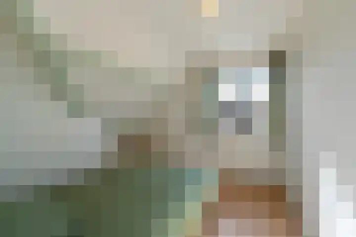 Tielerwaard 1 Emmeloord thumbnail 47
