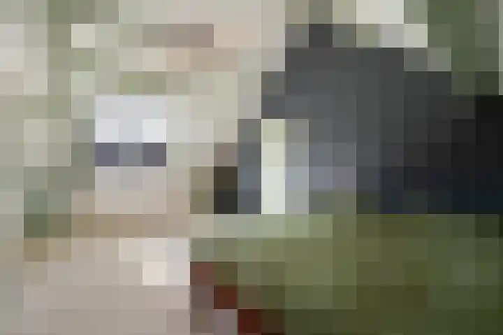 Tielerwaard 1 Emmeloord thumbnail 52