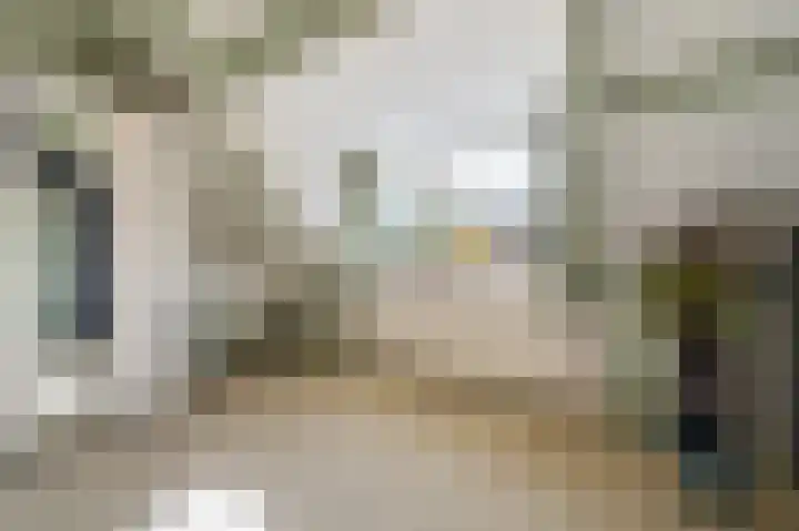Tielerwaard 1 Emmeloord thumbnail 53