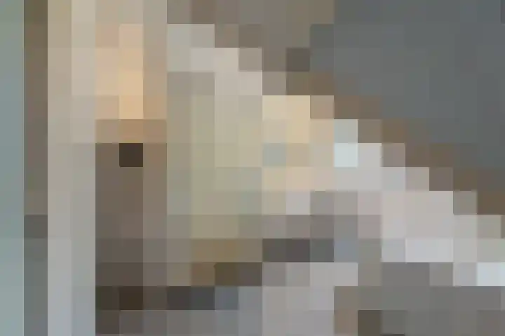 Tielerwaard 1 Emmeloord thumbnail 54