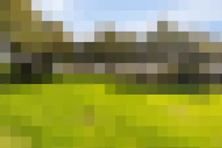 Tielerwaard 1 Emmeloord thumbnail 58