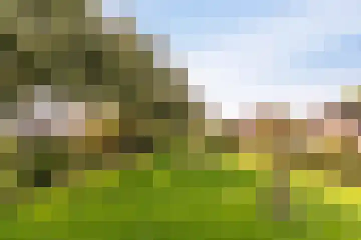 Tielerwaard 1 Emmeloord thumbnail 59
