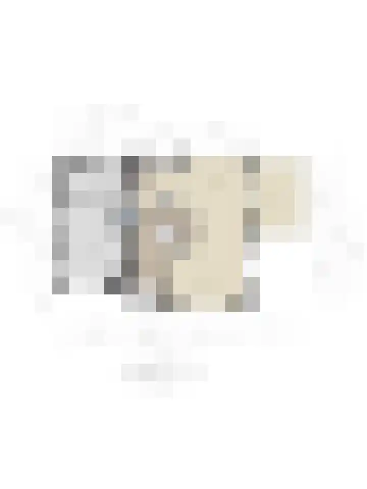 Tielerwaard 1 Emmeloord thumbnail 60