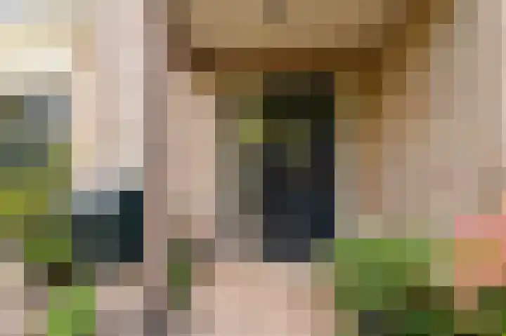 Tielerwaard 1 Emmeloord thumbnail 7