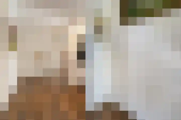 Tielerwaard 1 Emmeloord thumbnail 8