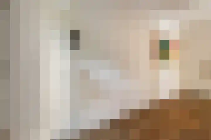 Tielerwaard 1 Emmeloord thumbnail 9