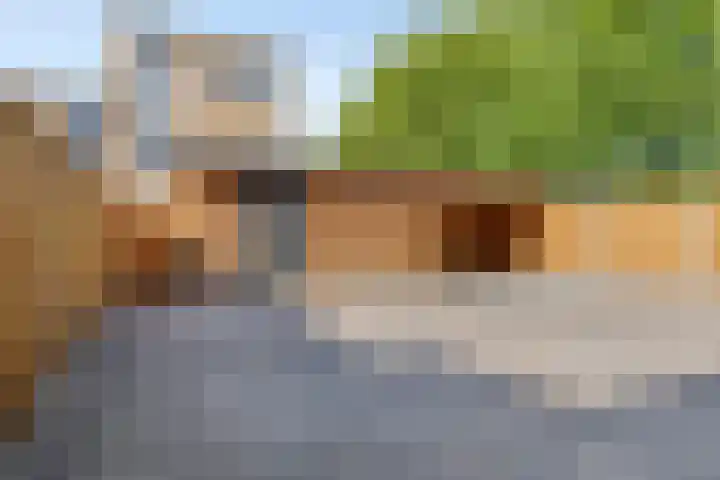 Tielerwaard 119 Rotterdam thumbnail 38