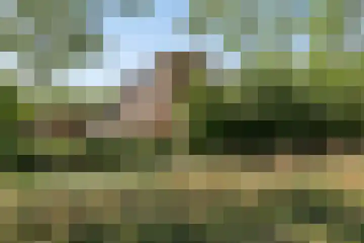 Tielerwaard 119 Rotterdam thumbnail 47