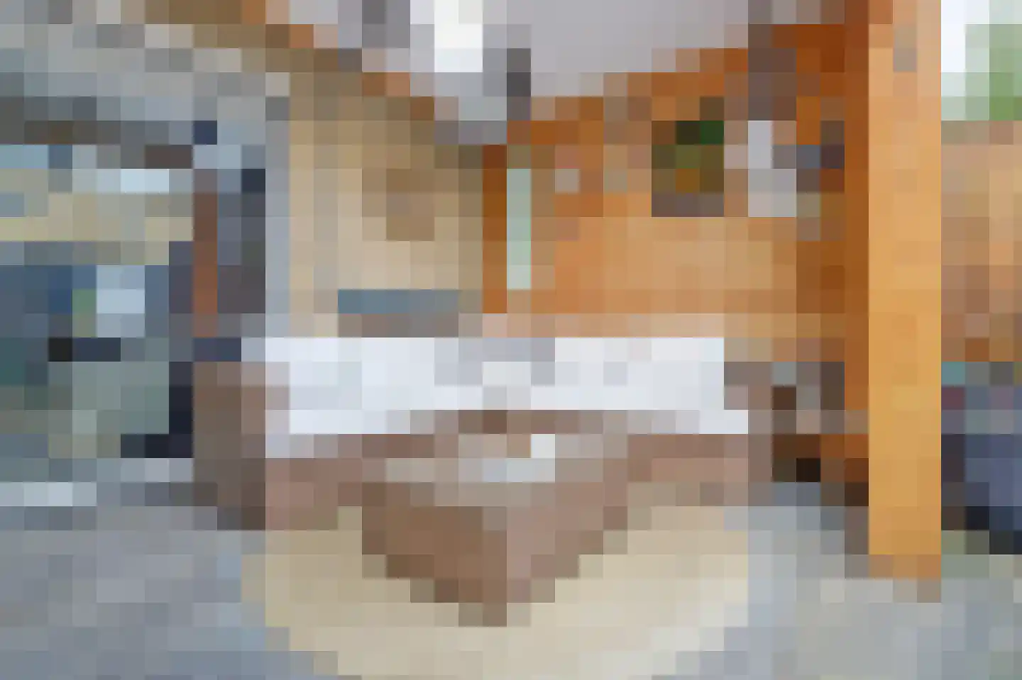Tielerwaard 129 Rotterdam thumbnail 30