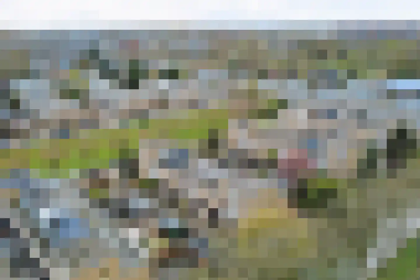 Tielerwaard 129 Rotterdam thumbnail 41