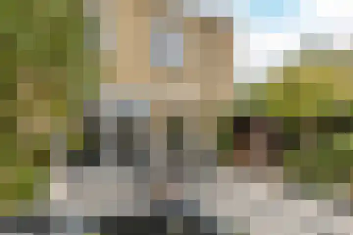 Tielerwaard 133 Rotterdam thumbnail 14