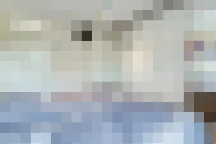 Tielerwaard 133 Rotterdam thumbnail 30