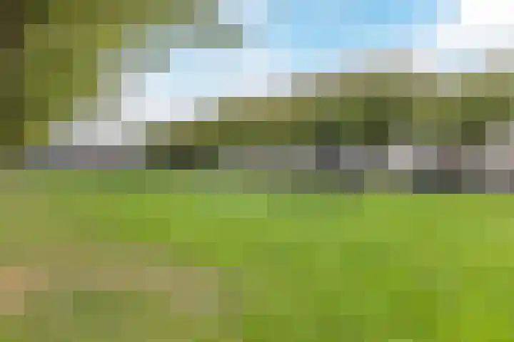 Tielerwaard 133 Rotterdam thumbnail 56