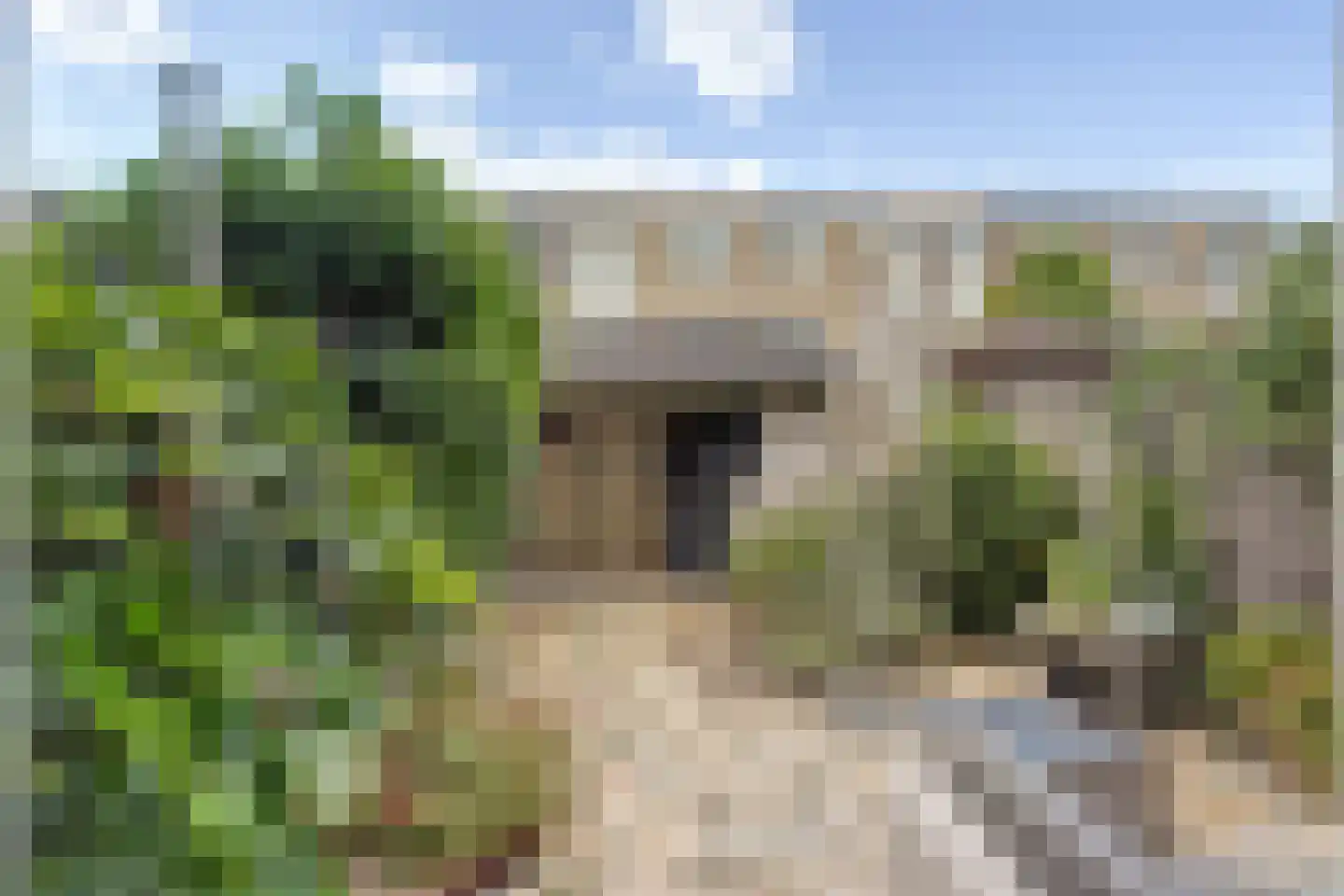 Tielerwaard 61 Rotterdam thumbnail 6