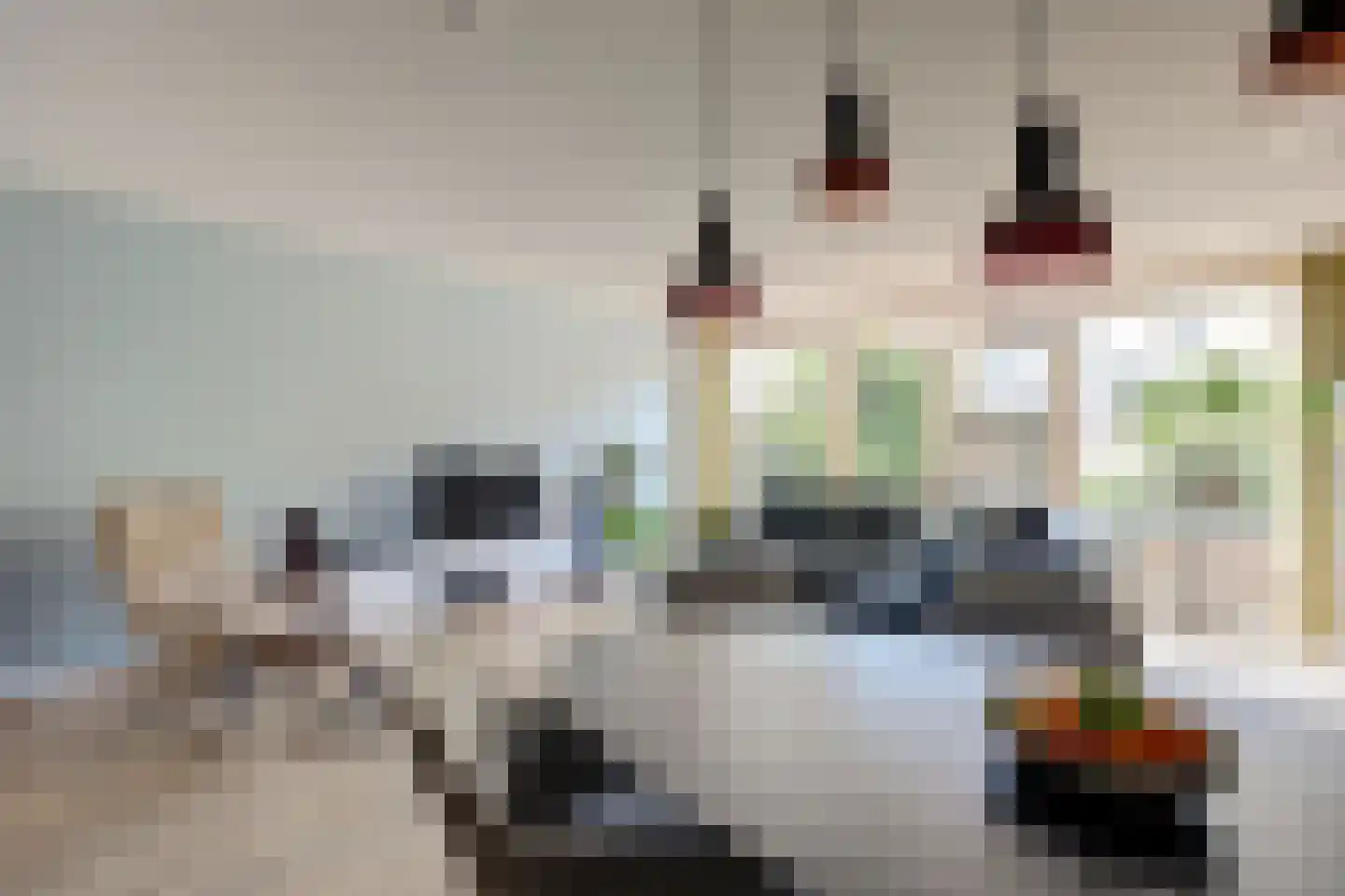 Tielerwaard 61 Rotterdam thumbnail 8