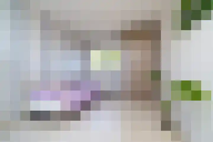 Tielerwaard 63 Rotterdam thumbnail 20