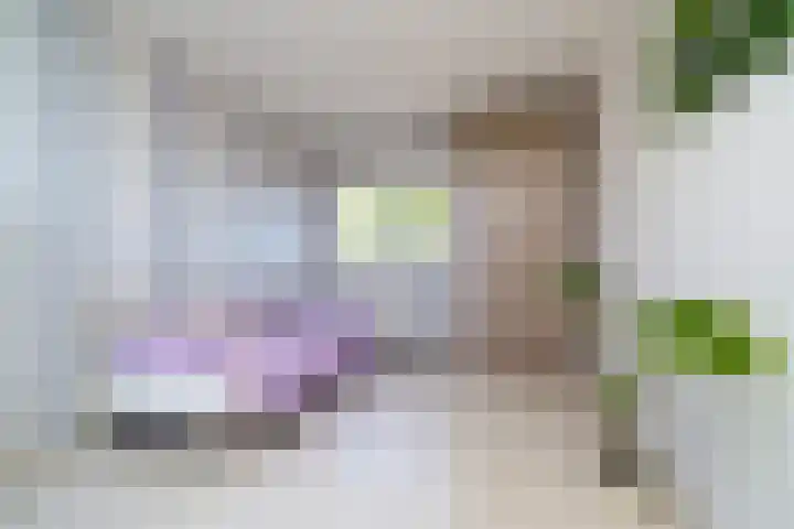 Tielerwaard 63 Rotterdam thumbnail 28