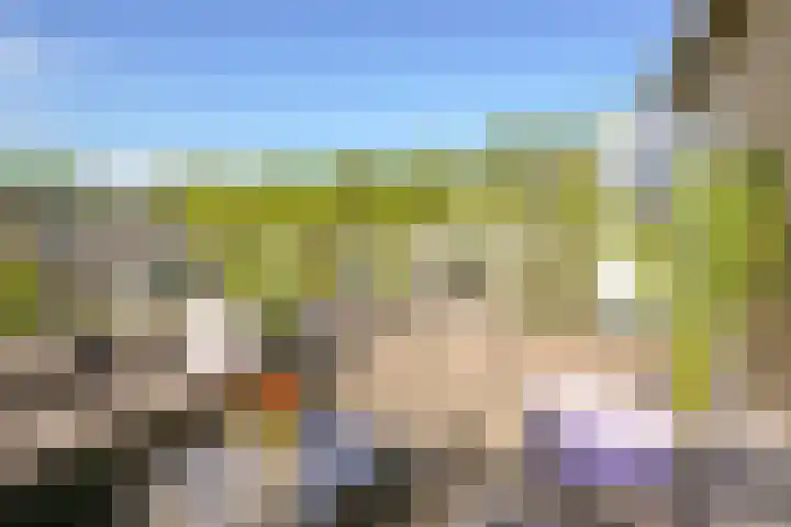 Tielerwaard 63 Rotterdam thumbnail 30