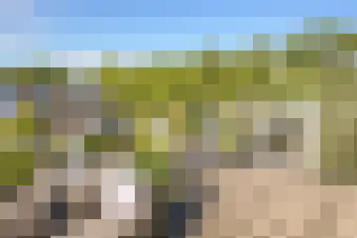 Tielerwaard 63 Rotterdam thumbnail 31