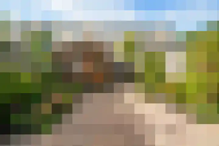 Tielerwaard 63 Rotterdam thumbnail 35