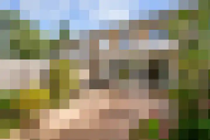Tielerwaard 63 Rotterdam thumbnail 37