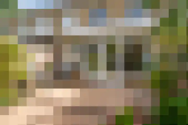 Tielerwaard 63 Rotterdam thumbnail 38