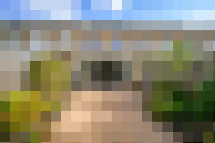 Tielerwaard 63 Rotterdam thumbnail 39