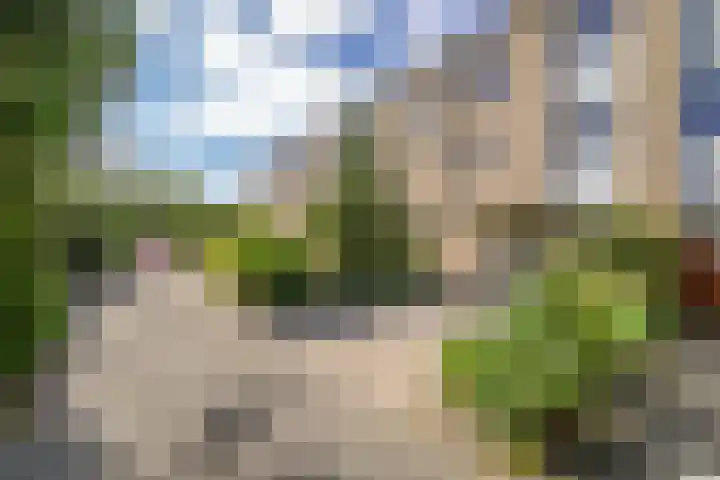 Tielerwaard 63 Rotterdam thumbnail 40