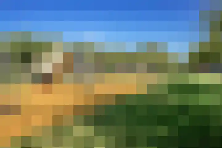 Tielerwaard 63 Rotterdam thumbnail 44