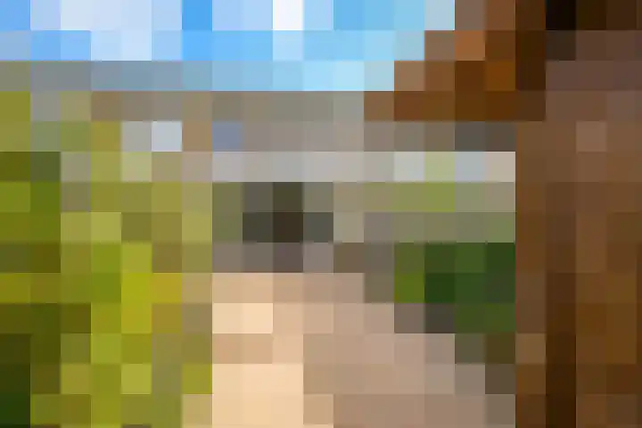 Tielerwaard 63 Rotterdam thumbnail 5