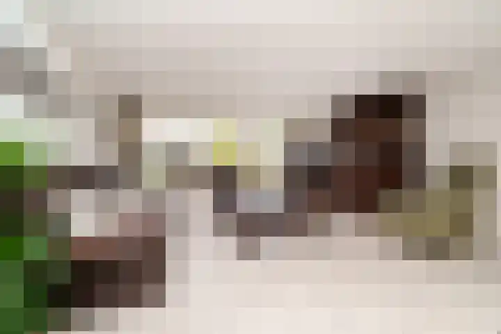 Tielerwaard 63 Rotterdam thumbnail 7
