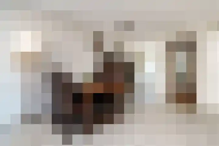 Tielerwaard 63 Rotterdam thumbnail 9