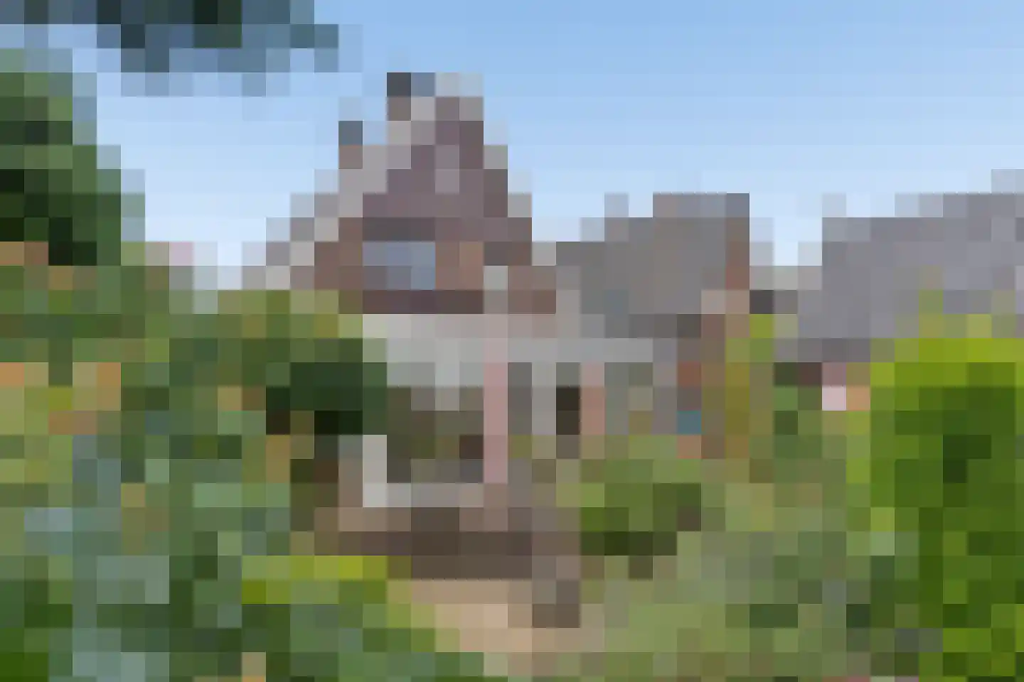 Tielkemeijerweg 11 Ede thumbnail 22