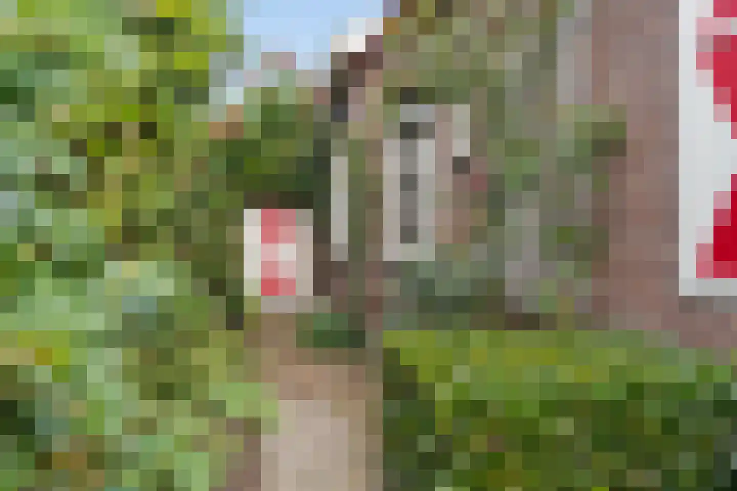 Tielkemeijerweg 11 Ede thumbnail 24