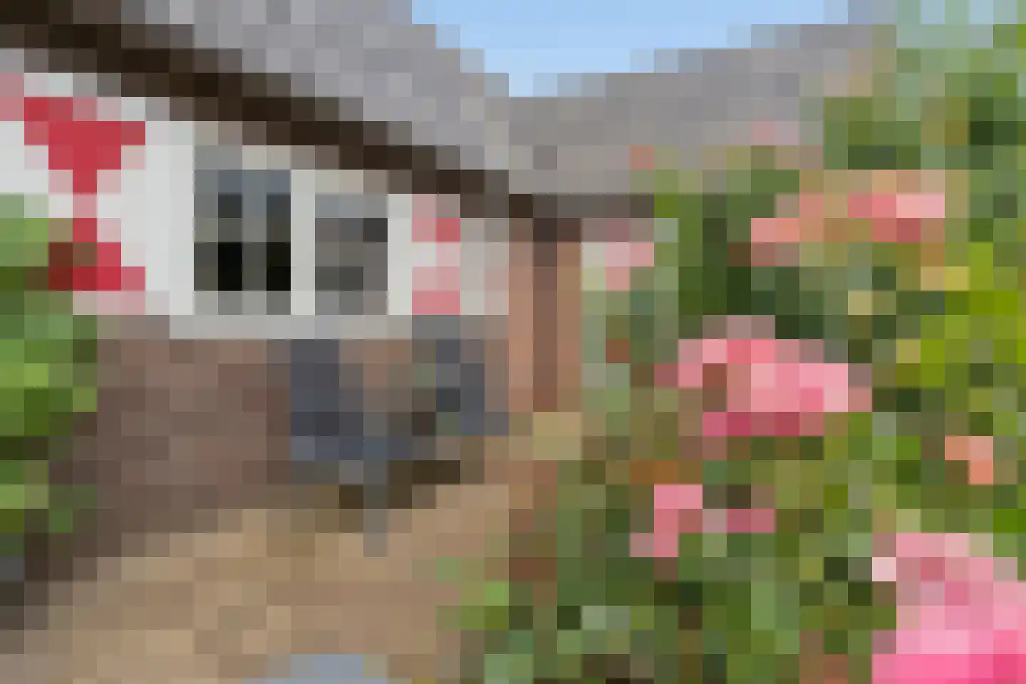 Tielkemeijerweg 11 Ede thumbnail 28