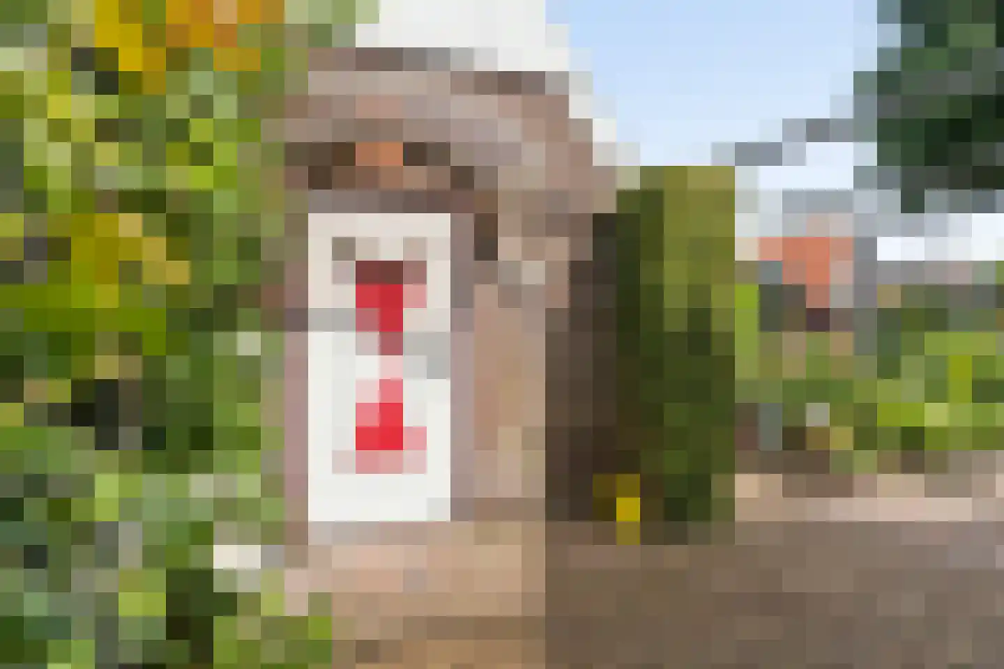Tielkemeijerweg 11 Ede thumbnail 29