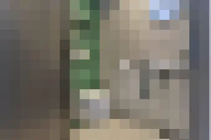 Tiellaan 106 Amersfoort thumbnail 38