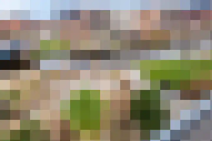 Tiellaan 106 Amersfoort thumbnail 4
