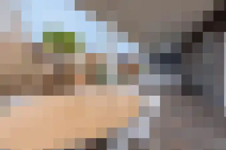 Tiellaan 106 Amersfoort thumbnail 41
