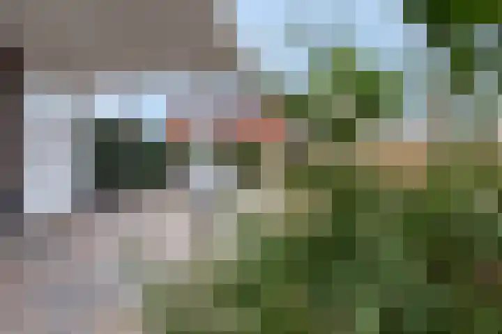 Tiellaan 106 Amersfoort thumbnail 44