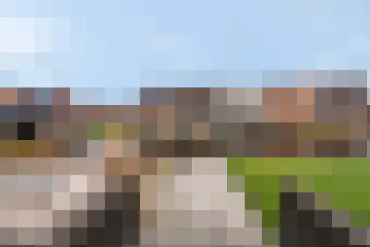 Tiellaan 106 Amersfoort thumbnail 45