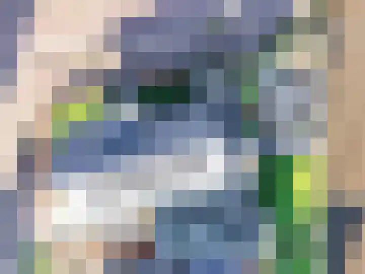 Tiellaan 106 Amersfoort thumbnail 48
