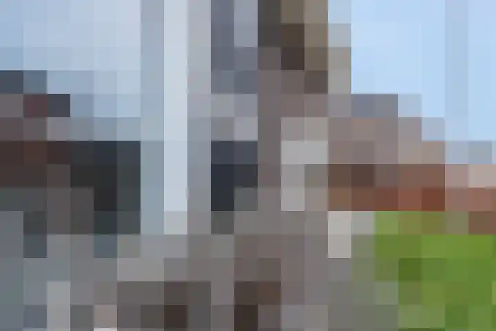 Tiellaan 106 Amersfoort thumbnail 8
