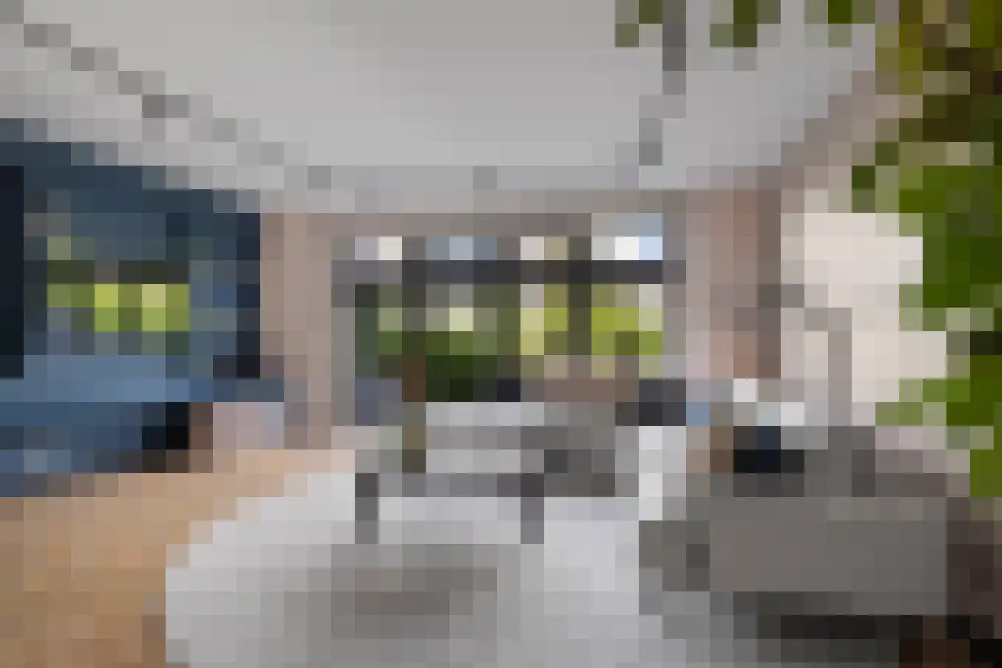 Tiellaan 115 Amersfoort thumbnail 30