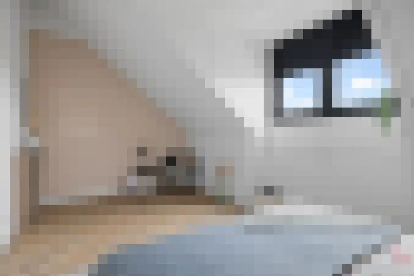 Tiellaan 115 Amersfoort thumbnail 61