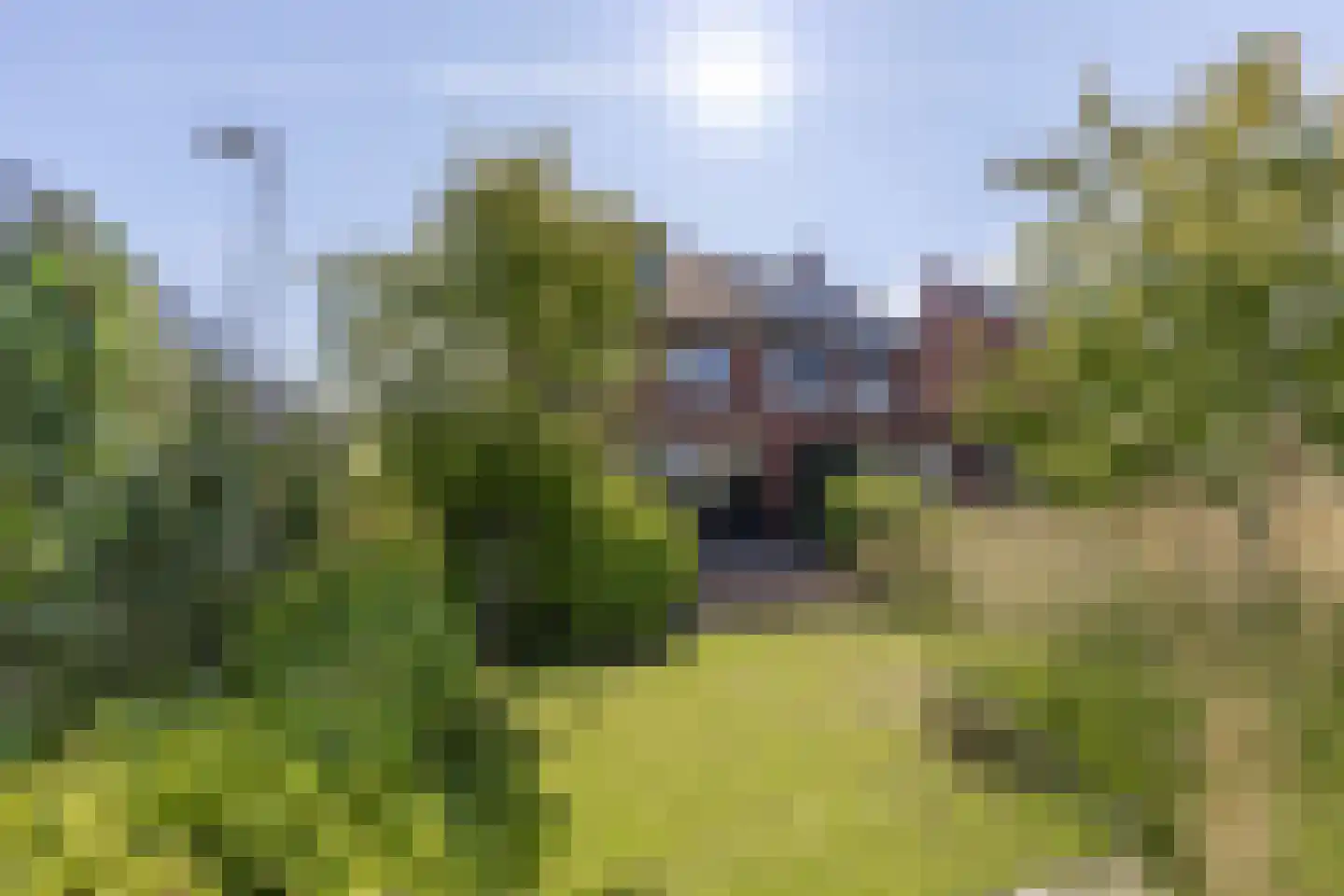 Tiellaan 115 Amersfoort thumbnail 7