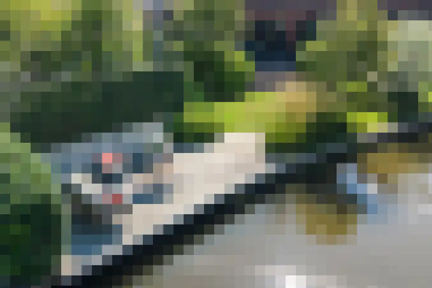 Tiellaan 115 Amersfoort thumbnail 78