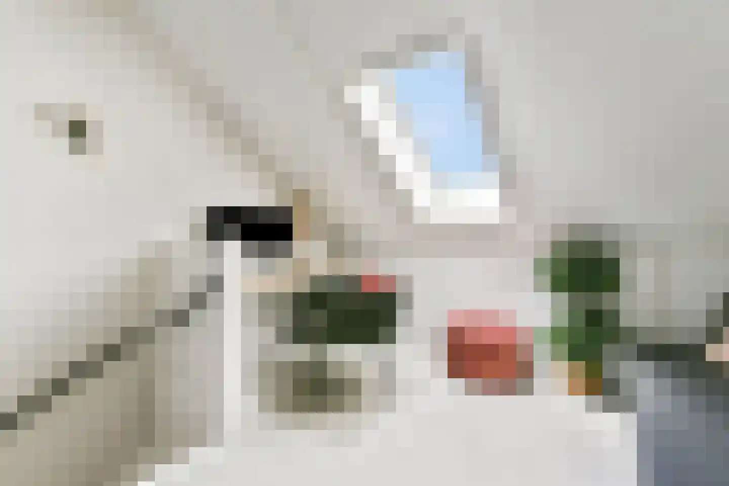 Tiellaan 89 Amersfoort thumbnail 27