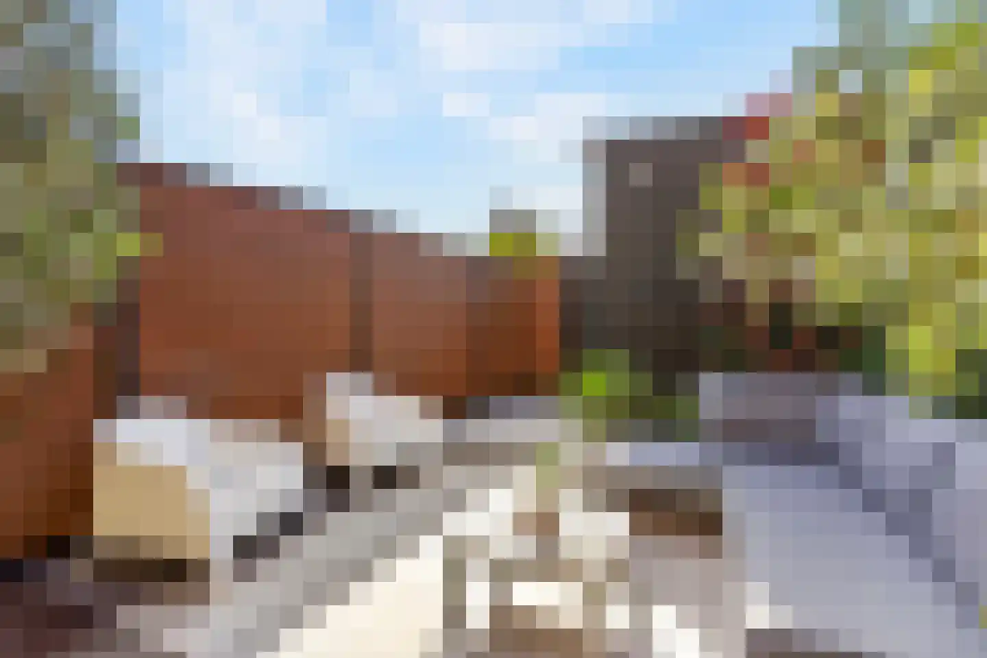 Tiellaan 90 Amersfoort thumbnail 17
