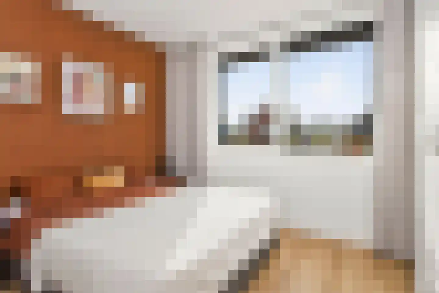 Tiellaan 90 Amersfoort thumbnail 21